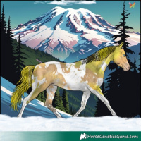 Horse Color:White Spotted Sable Cream Champagne Tobiano Rabicano