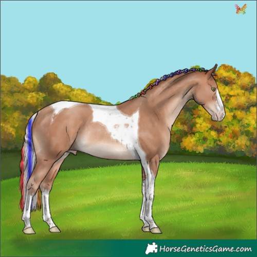 Horse Color:Painted White Spotted Silver Sable Champagne Tobiano Rabicano 