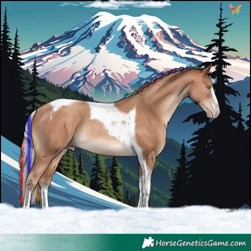 Horse Color:Painted White Spotted Silver Sable Champagne Tobiano Rabicano 