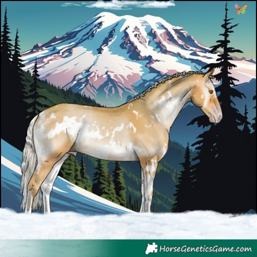 Horse Color:Watercolor White Spotted Silver Sable Champagne Onyx 
