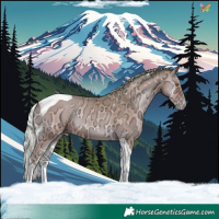 Horse Color:Watercolor Silver Sable Champagne Ice Onyx Tobiano 