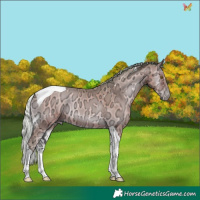 Horse Color:Watercolor Silver Sable Champagne Ice Onyx Tobiano