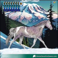 Horse Color:Watercolor Silver Sable Champagne Ice Onyx Tobiano