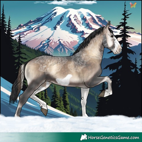 Horse Color:Brown Ice Onyx Frame 