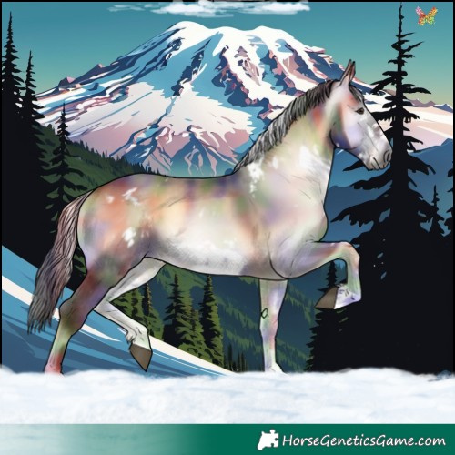 Horse Color:Gray Nacre White Spotted Liver Red Onyx Frame 