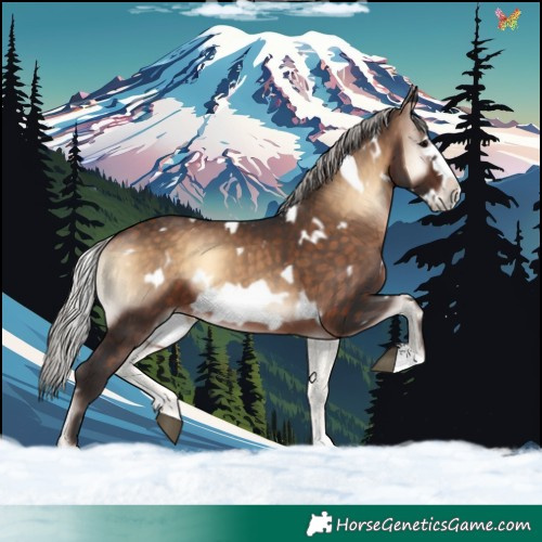 Horse Color:White Spotted Silver Brown Onyx Frame 