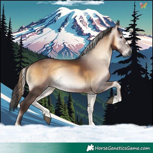 Horse Color:Gray Liver Red Onyx 