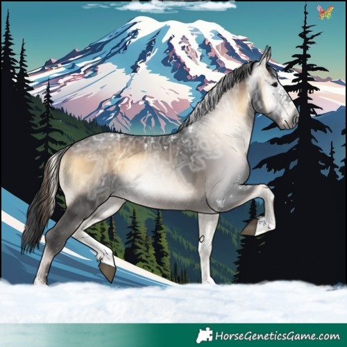 Horse Color:Gray White Spotted Brown Ice Onyx 