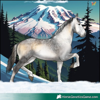 Horse Color:Gray White Spotted Brown Ice Onyx 