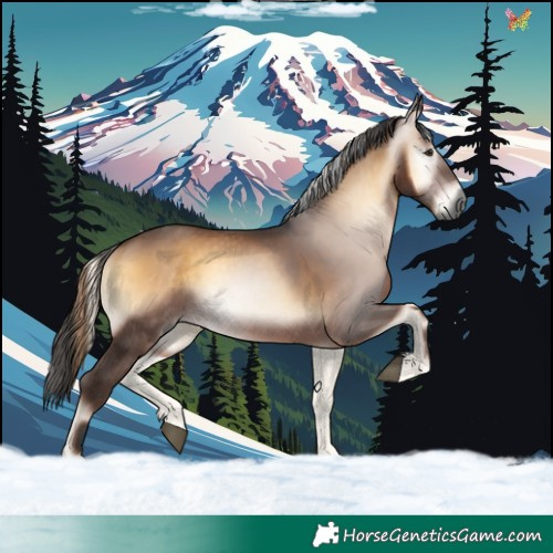Horse Color:Gray Liver Red Onyx 