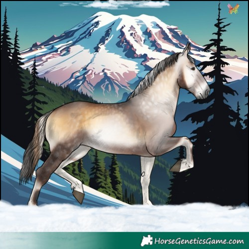 Horse Color:Gray Liver Red Onyx