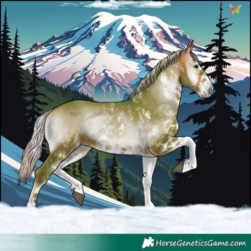 Horse Color:Watercolor White Spotted Silver Brown Onyx 