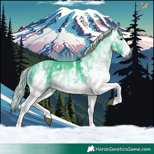 Horse Color:Gray Watercolor White Spotted Silver Buckskin 