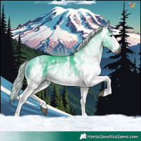 Horse Color:Gray Watercolor White Spotted Silver Buckskin