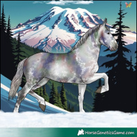 Horse Color:Gray Nacre White Spotted Silver Brown