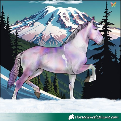 Horse Color:Gray Nacre Watercolor Buckskin Onyx Tobiano
