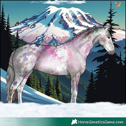 Horse Color:Gray Nacre White Spotted Liver Chestnut