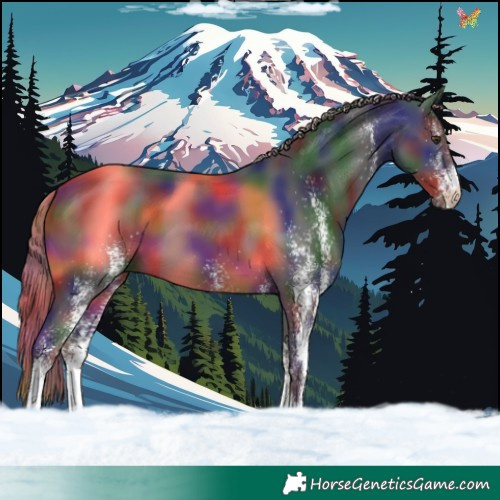 Horse Color:Nacre White Spotted Liver Chestnut