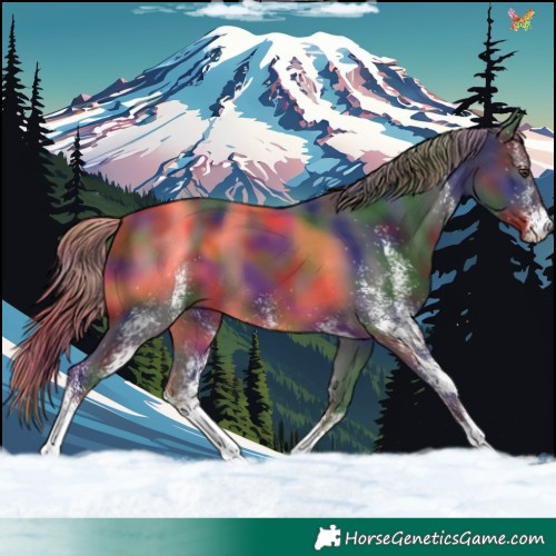 Horse Color:Nacre White Spotted Liver Chestnut 
