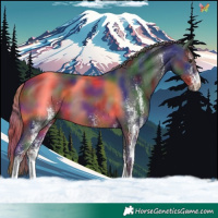 Horse Color:Nacre White Spotted Liver Chestnut