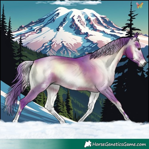 Horse Color:Gray Watercolor White Spotted Liver Red Onyx