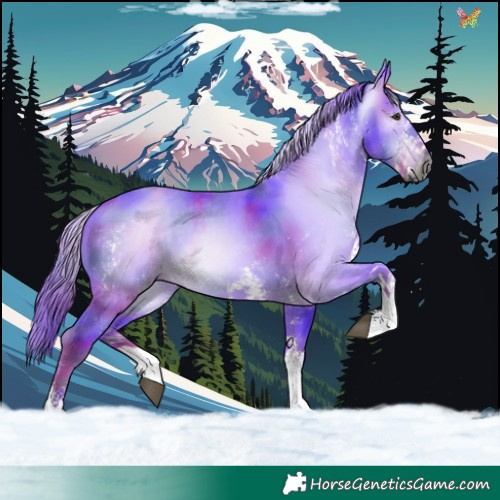 Horse Color:Gray Nacre Watercolor White Spotted Liver Chestnut