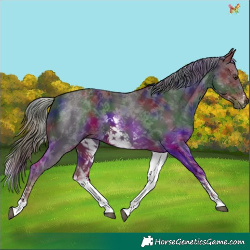 Horse Color:Nacre White Spotted Liver Chestnut 