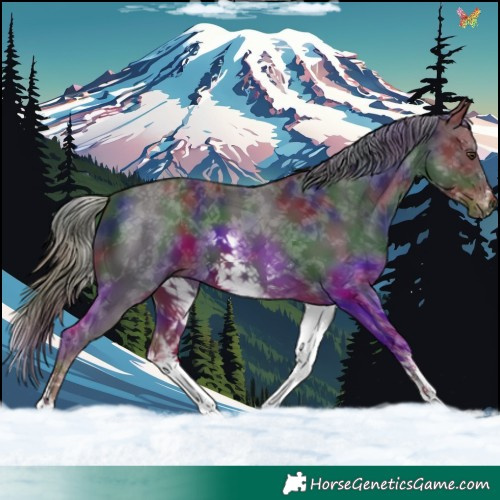 Horse Color:Nacre White Spotted Liver Chestnut 