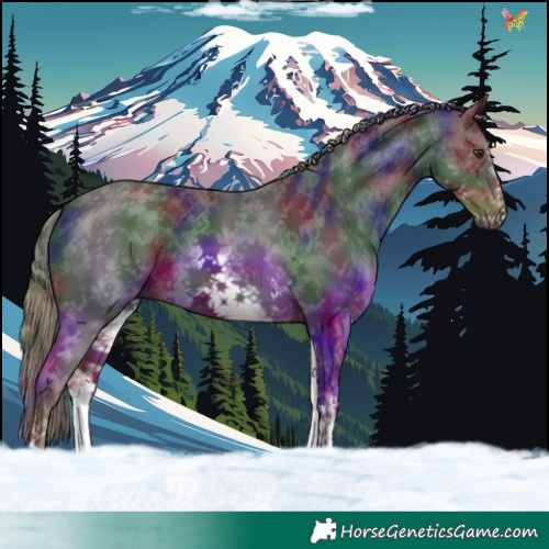 Horse Color:Nacre White Spotted Liver Chestnut 