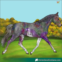 Horse Color:Nacre White Spotted Liver Chestnut