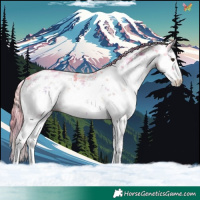 Horse Color:Nacre Watercolor White Spotted Liver Red Onyx Sabino 