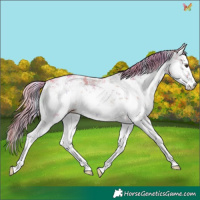 Horse Color:Nacre Watercolor White Spotted Liver Red Onyx Sabino 