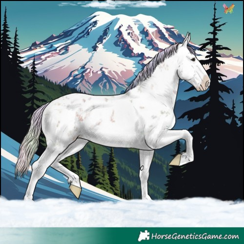 Horse Color:Nacre White Spotted Silver Bay Sabino Splash