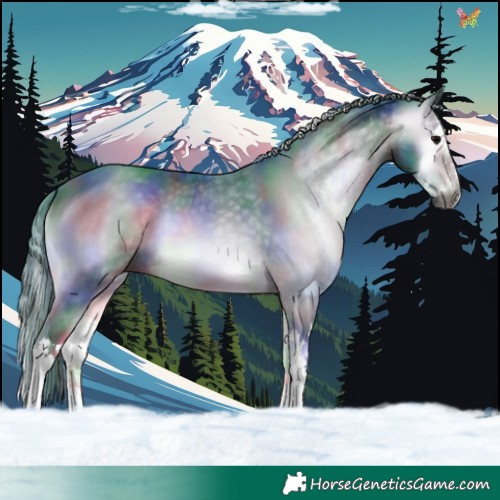 Horse Color:Gray Nacre Watercolor Brown Onyx Splash