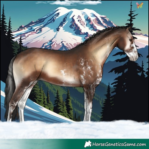 Horse Color:White Spotted Liver Red Onyx Splash