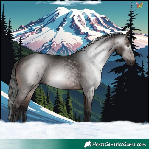 Horse Color:Gray Bay