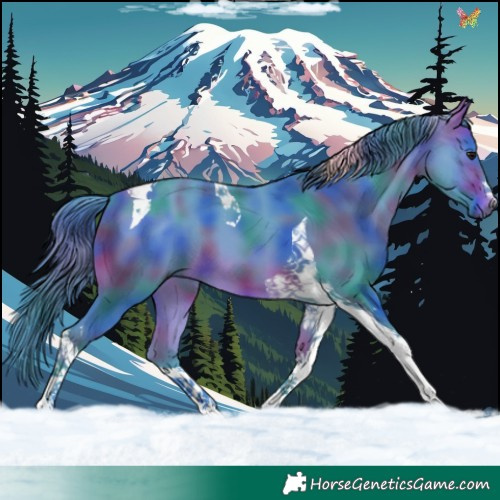 Horse Color:Nacre Watercolor Bay Tobiano 