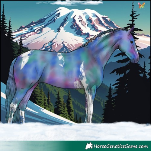 Horse Color:Nacre Watercolor Bay Tobiano 