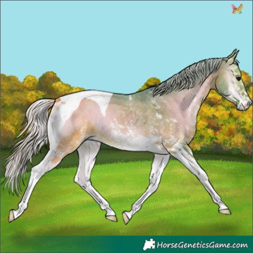 Horse Color:Watercolor White Spotted Silver Bay Onyx Tobiano 
