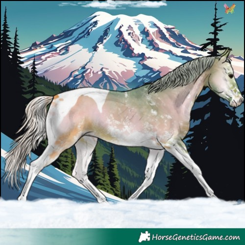 Horse Color:Watercolor White Spotted Silver Bay Onyx Tobiano 