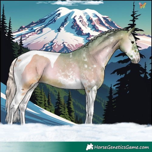 Horse Color:Watercolor White Spotted Silver Bay Onyx Tobiano