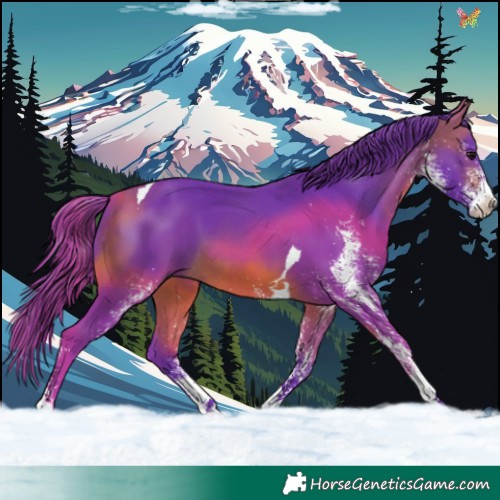 Horse Color:Watercolor White Spotted Bay Tobiano 