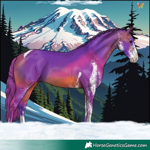 Horse Color:Watercolor White Spotted Bay Tobiano