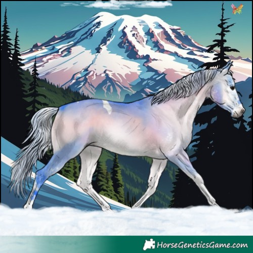 Horse Color:Gray Watercolor White Spotted Silver Brown Onyx Tobiano 