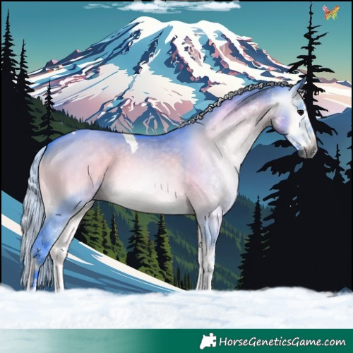 Horse Color:Gray Watercolor White Spotted Silver Brown Onyx Tobiano