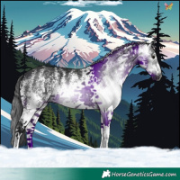 Horse Color:Gray White Spotted Brown 