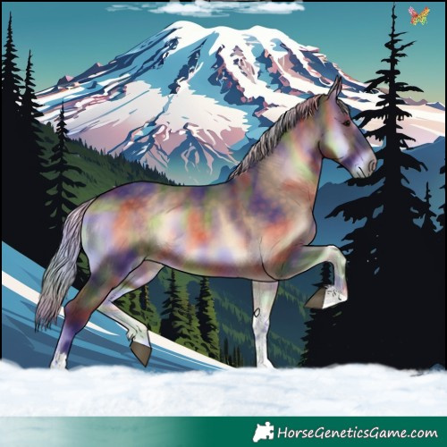 Horse Color:Nacre Silver Brown Onyx Tobiano 