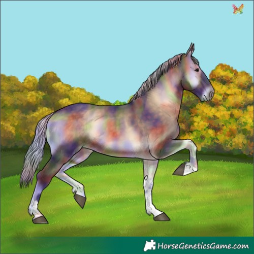 Horse Color:Nacre Silver Brown Onyx Tobiano