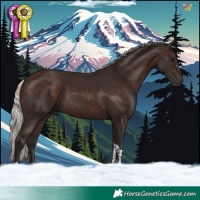 Horse Color:Silver Brown Tobiano