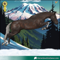 Horse Color:Silver Brown Tobiano 